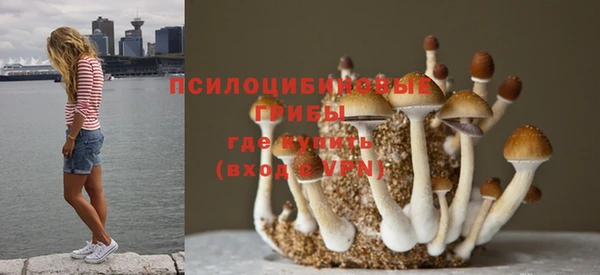 метамфетамин Алзамай