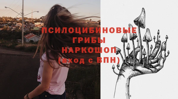 твердый Алексеевка