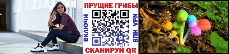нарко площадка Telegram  Чапаевск  Псилоцибиновые грибы Cubensis 